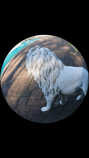 Ski Shop «Sundown Ski & Patio», reviews and photos, 3060 Middle Country Rd, Lake Grove, NY 11755, USA