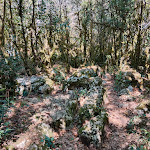 Photo n° 3 de l'avis de Karine.e fait le 20/10/2023 à 16:53 pour Le Labyrinthe Vert à Nébias