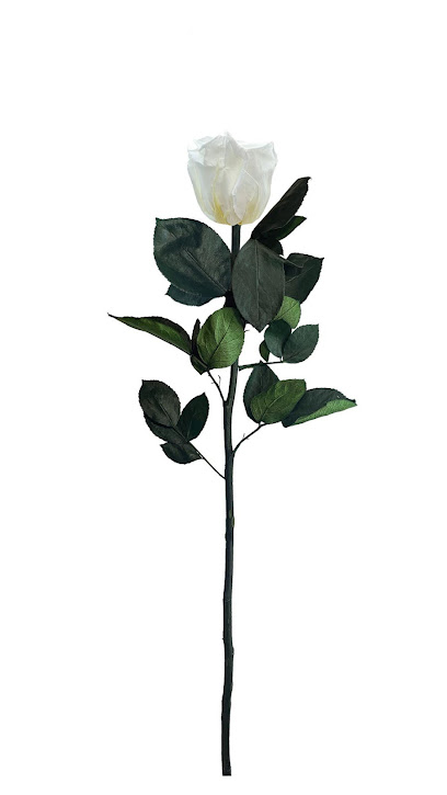 Aluna Bouquets - Eternal Flowers