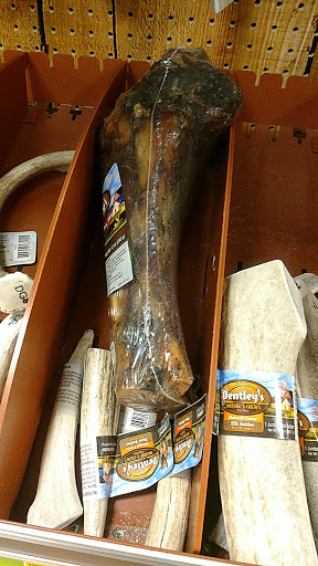 Pet Supply Store «PetSmart», reviews and photos, 131 Town Center Rd, King of Prussia, PA 19406, USA