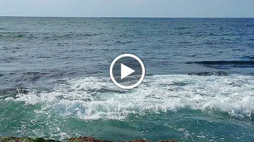 Tide Pools image