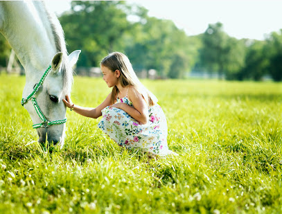 Kobilarna Lipica - Lipica Stud Farm