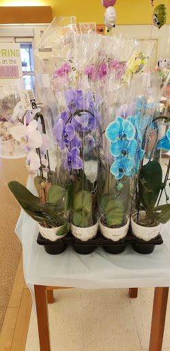 Supermarket «Giant», reviews and photos, 5469 Mapledale Plaza, Dale City, VA 22193, USA