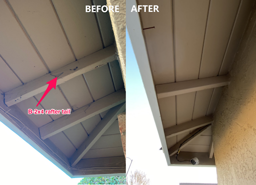 Cura Termite and Pest Control image