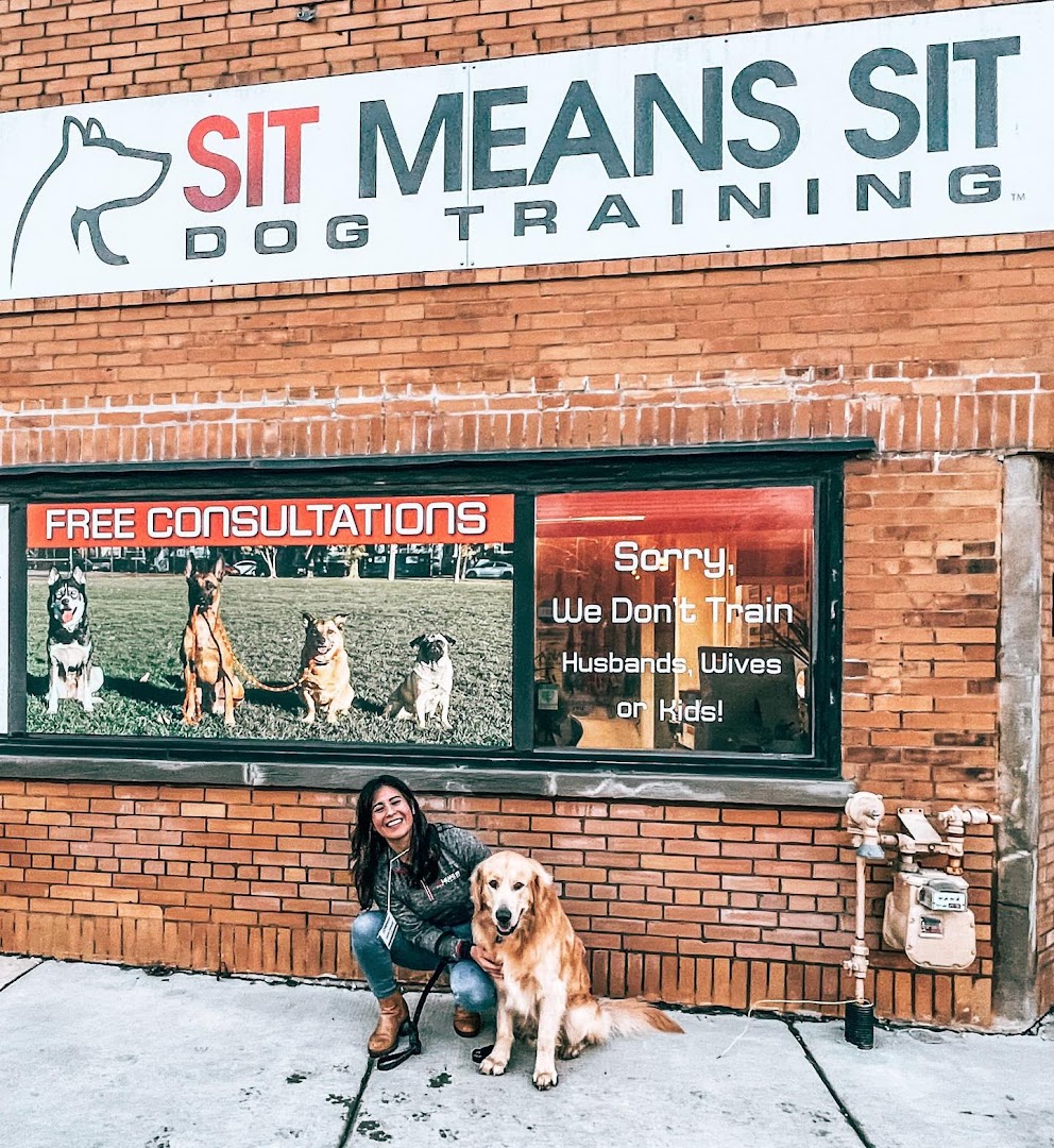 Sit Means Sit Dog Training Athens