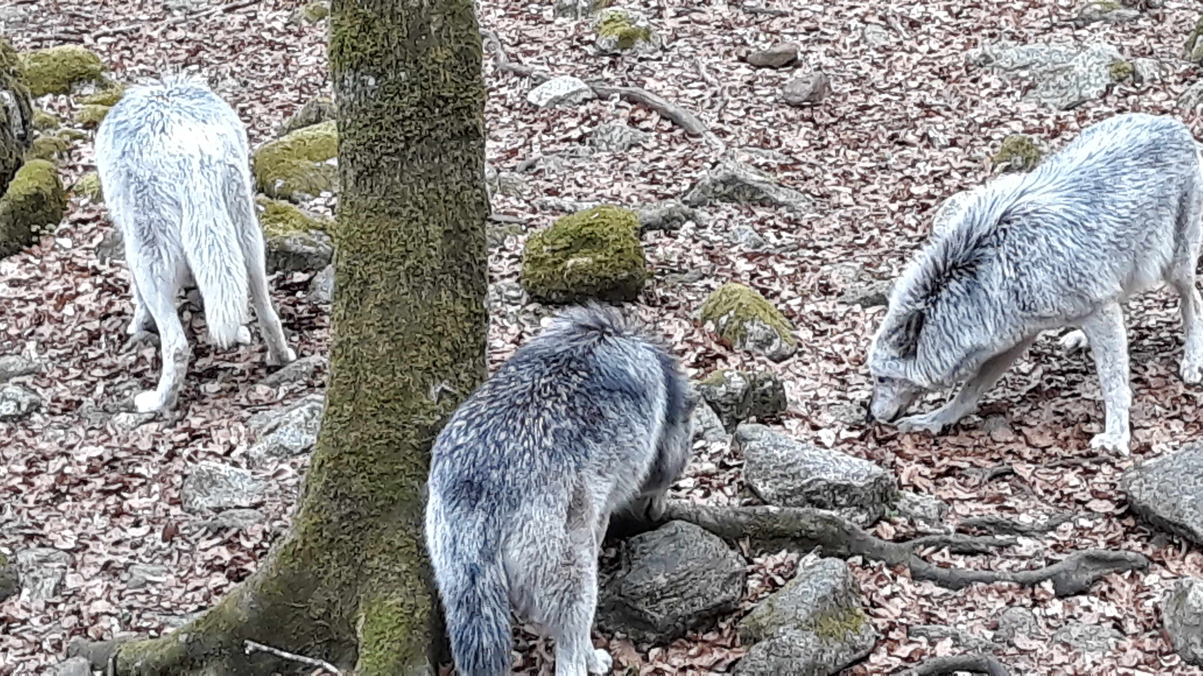 Photo n° 3 de l'avis de Anne.a fait le 24/04/2019 à 15:11