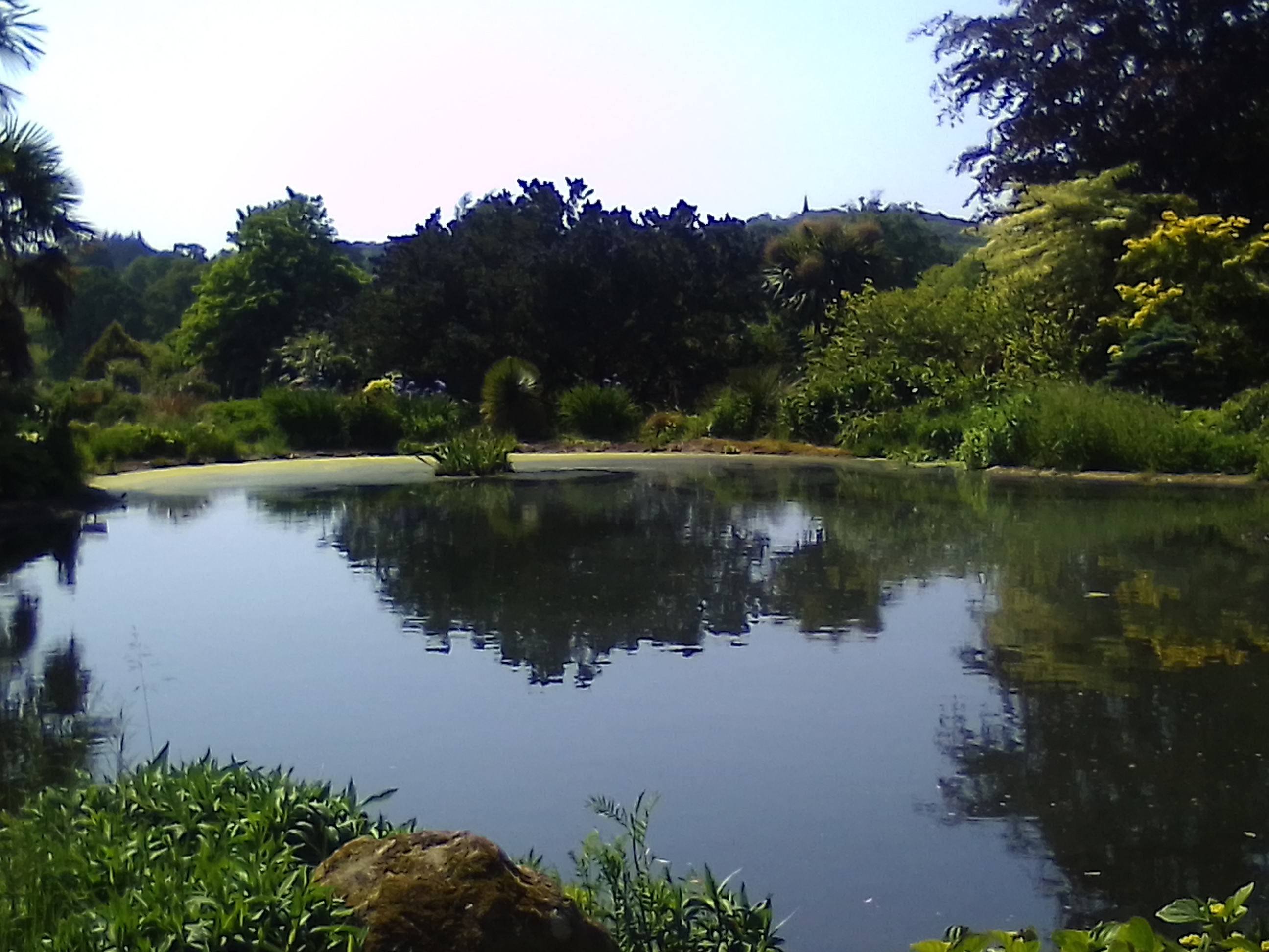 Photo n° 5 de l'avis de Bérengère.a fait le 21/06/2023 à 18:26