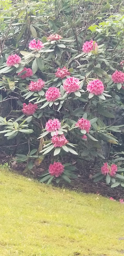 Tourist Attraction «Snoqualmie Falls Lower Observation Deck», reviews and photos, 37451 SE Fish Hatchery Rd, Fall City, WA 98024, USA
