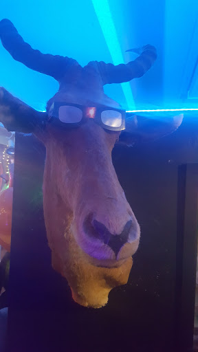 Tattoo Shop «HOWL», reviews and photos, 4160 S Cleveland Ave, Fort Myers, FL 33901, USA