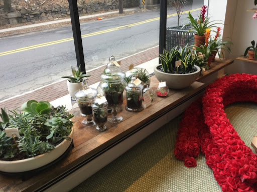 Blue Violet Floral & Garden, 455 Harding Pl #1, Fairview, NJ 07022, USA, 