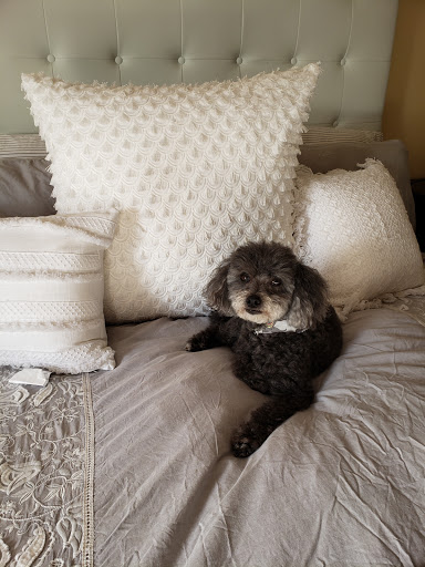 Pet Supply Store «Animal Kingdom of Santa Monica», reviews and photos, 300 Pico Blvd, Santa Monica, CA 90405, USA