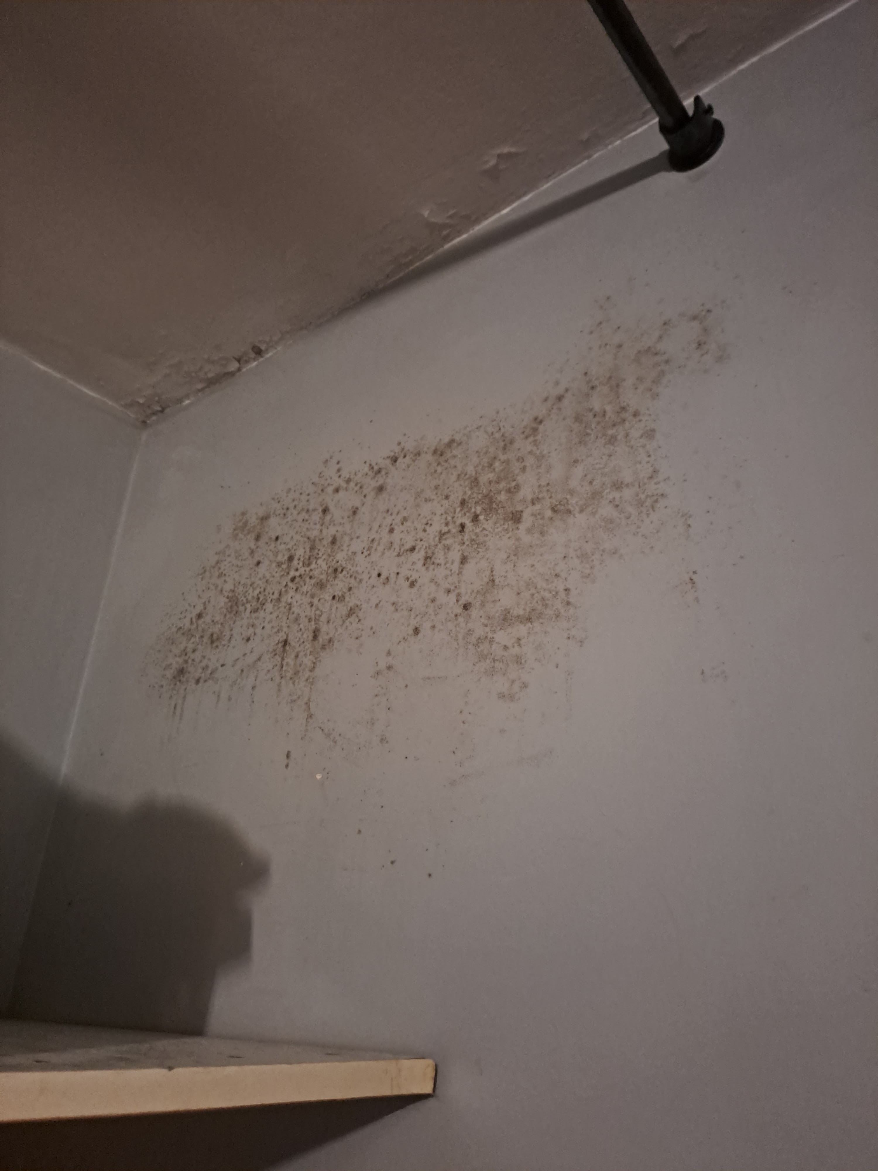 Photo n° 1 de l'avis de richard.o fait le 10/12/2023 à 17:09