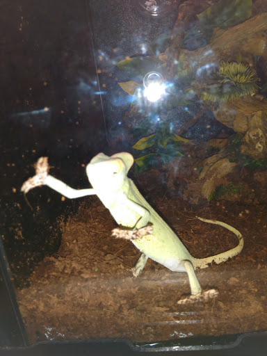 Pet Supply Store «PetSmart», reviews and photos, 14137 Rivergate Pkwy, Charlotte, NC 28273, USA