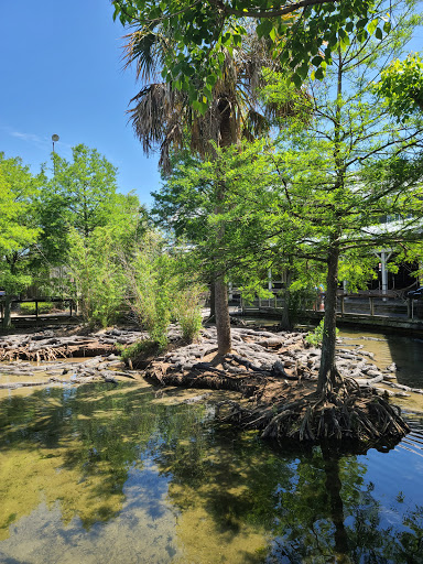Zoo «Alligator Adventure», reviews and photos, 4604 Hwy 17 S, North Myrtle Beach, SC 29582, USA