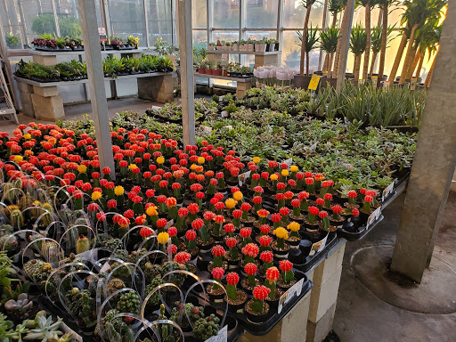 Home Improvement Store «The Home Depot», reviews and photos, 210 Eastwood Rd, Wilmington, NC 28403, USA