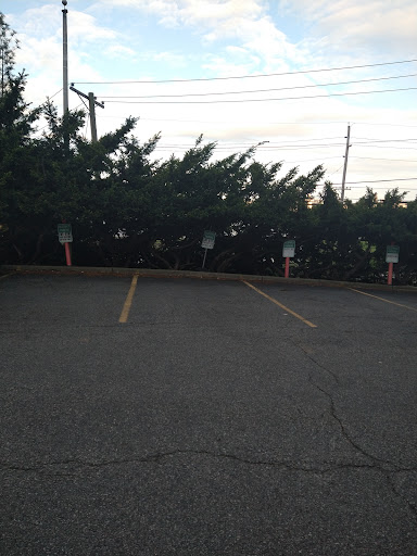 Gymnastics Center «My Gym River Road», reviews and photos, 8400 River Rd, North Bergen, NJ 07047, USA