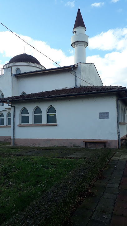 Mosquée Halid bin Velid Levski
