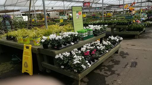 Garden Center «Pike Nurseries», reviews and photos, 615 W Crossville Rd, Roswell, GA 30075, USA