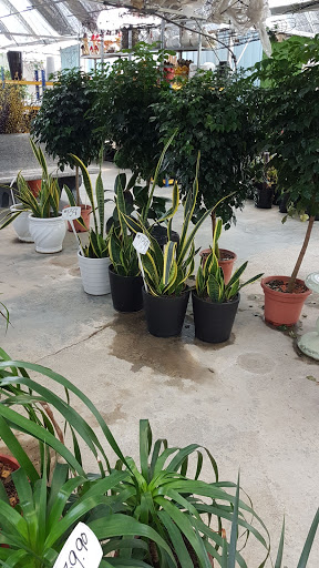 Bukit Jalil Nursery Sdn.Bhd