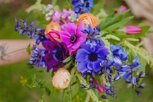 Mountain Laurel Florist, Garden & Gifts image
