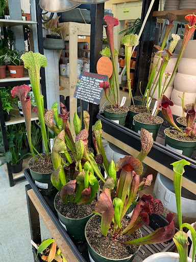 Garden Center «Kent East Hill Nursery», reviews and photos, 11644 SE 240th St, Kent, WA 98031, USA