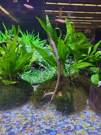 Pet Supply Store «Petco Animal Supplies», reviews and photos, 2140 E Blvd St, Kokomo, IN 46902, USA