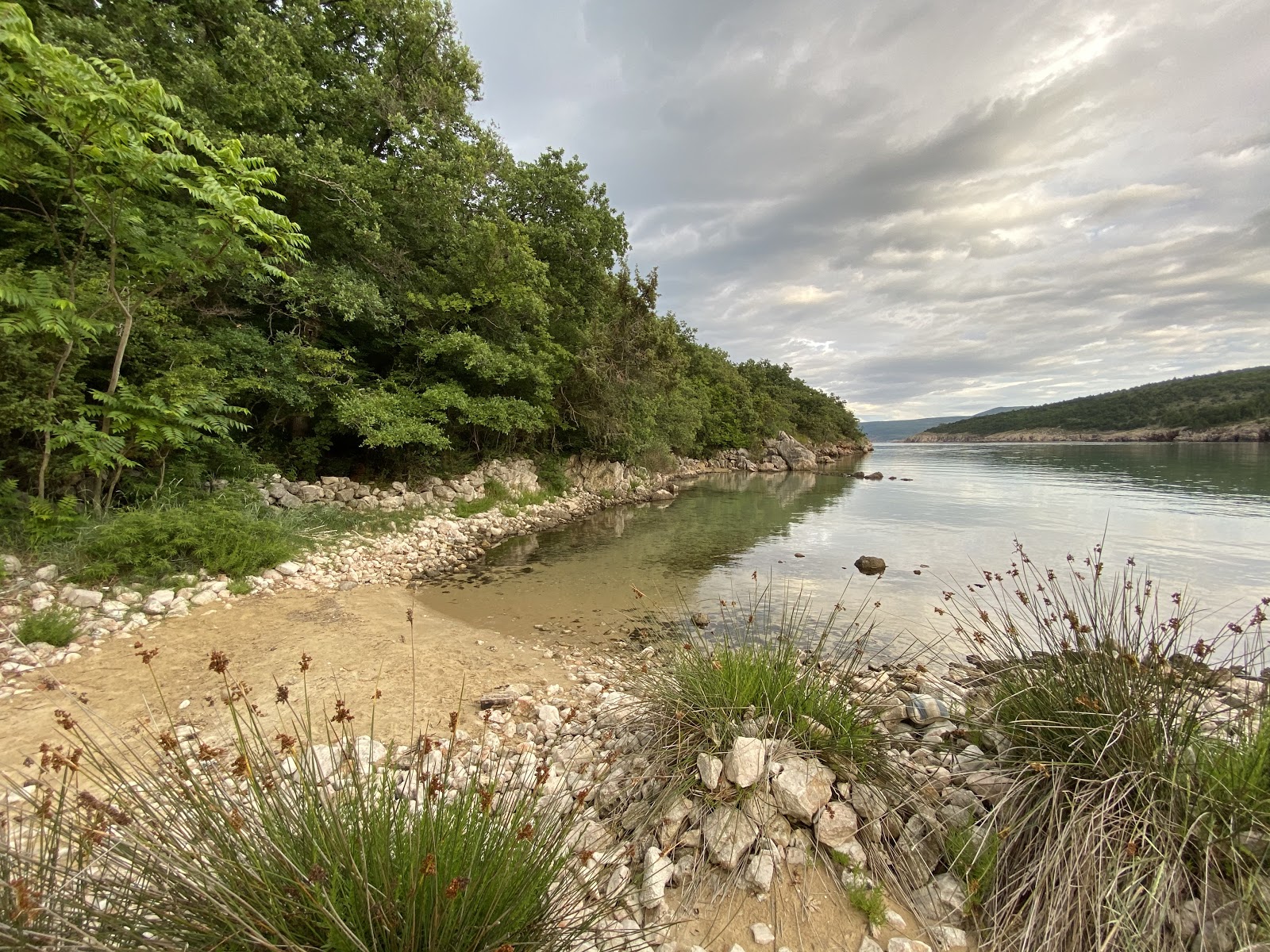 Fotografija Petrina beach divje območje