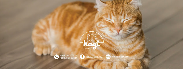 Hagi Cat Hotel - ฮาจี้ แคท โฮเทล โรงแรมแมว ราชพฤกษ์ นนทบุรี