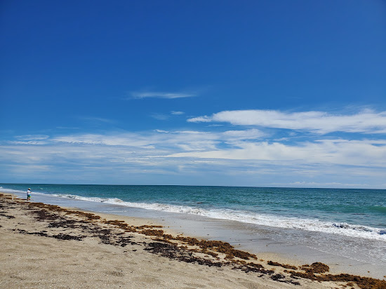 Blue Heron beach
