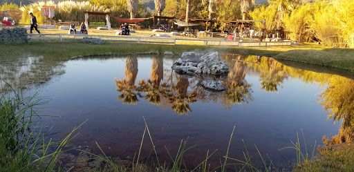 Tourist Attraction «Old Faithful Geyser of California», reviews and photos, 1299 Tubbs Ln, Calistoga, CA 94515, USA