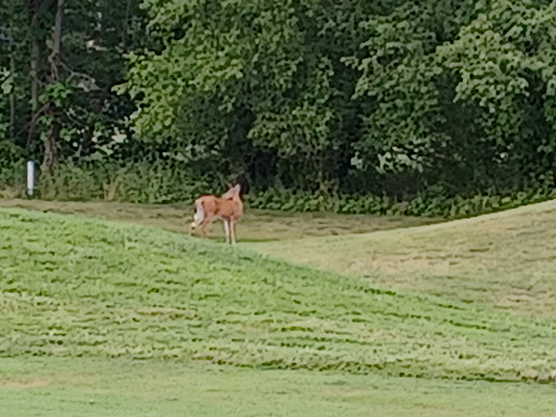 Golf Club «Oak Shadows Golf Club», reviews and photos, 1063 Oak Shadows Dr NE, New Philadelphia, OH 44663, USA