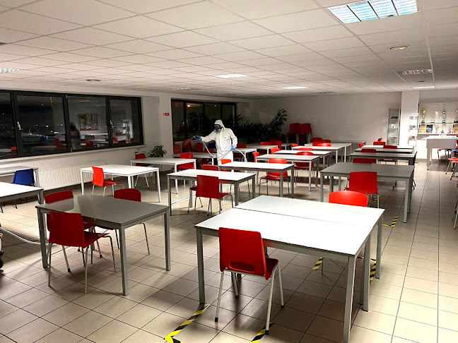 Wielogórska 1, 59-220 Legnica