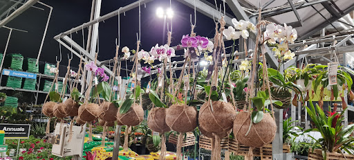 Home Improvement Store «The Home Depot», reviews and photos, 3401 Oakwood Blvd, Hollywood, FL 33020, USA