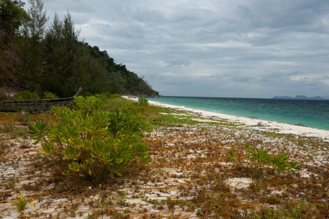 Koh Adang Camping II的照片 带有碧绿色纯水表面