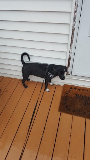 Pet Store «Pets Plus - Lansdale», reviews and photos, 555 S Broad St, Lansdale, PA 19446, USA