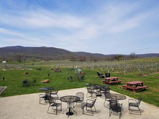 Winery «Philip Carter Winery», reviews and photos, 4366 Stillhouse Rd, Hume, VA 22639, USA