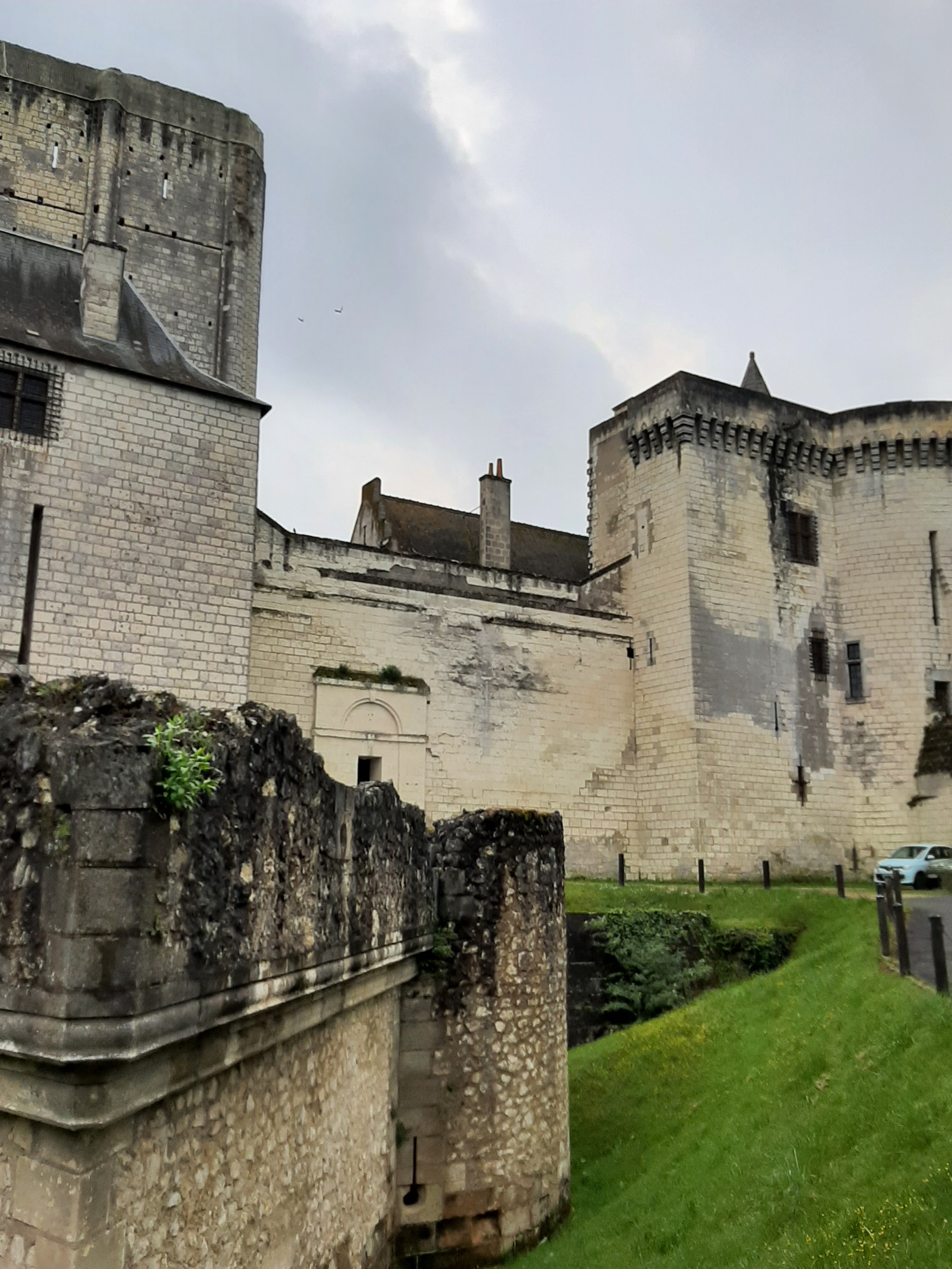 Photo n° 6 de l'avis de Olive.. fait le 26/04/2022 à 19:12