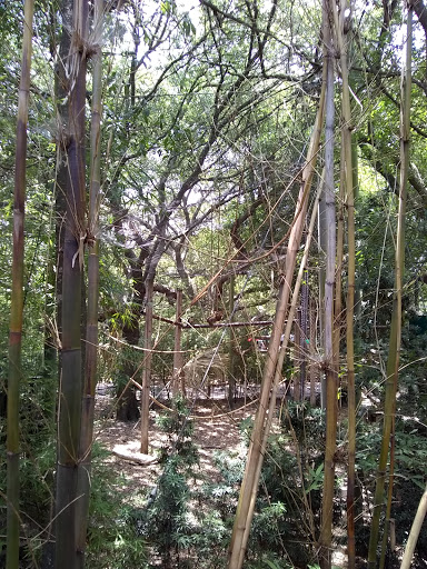 Zoo «Houston Zoo», reviews and photos, 6200 Hermann Park Dr, Houston, TX 77030, USA