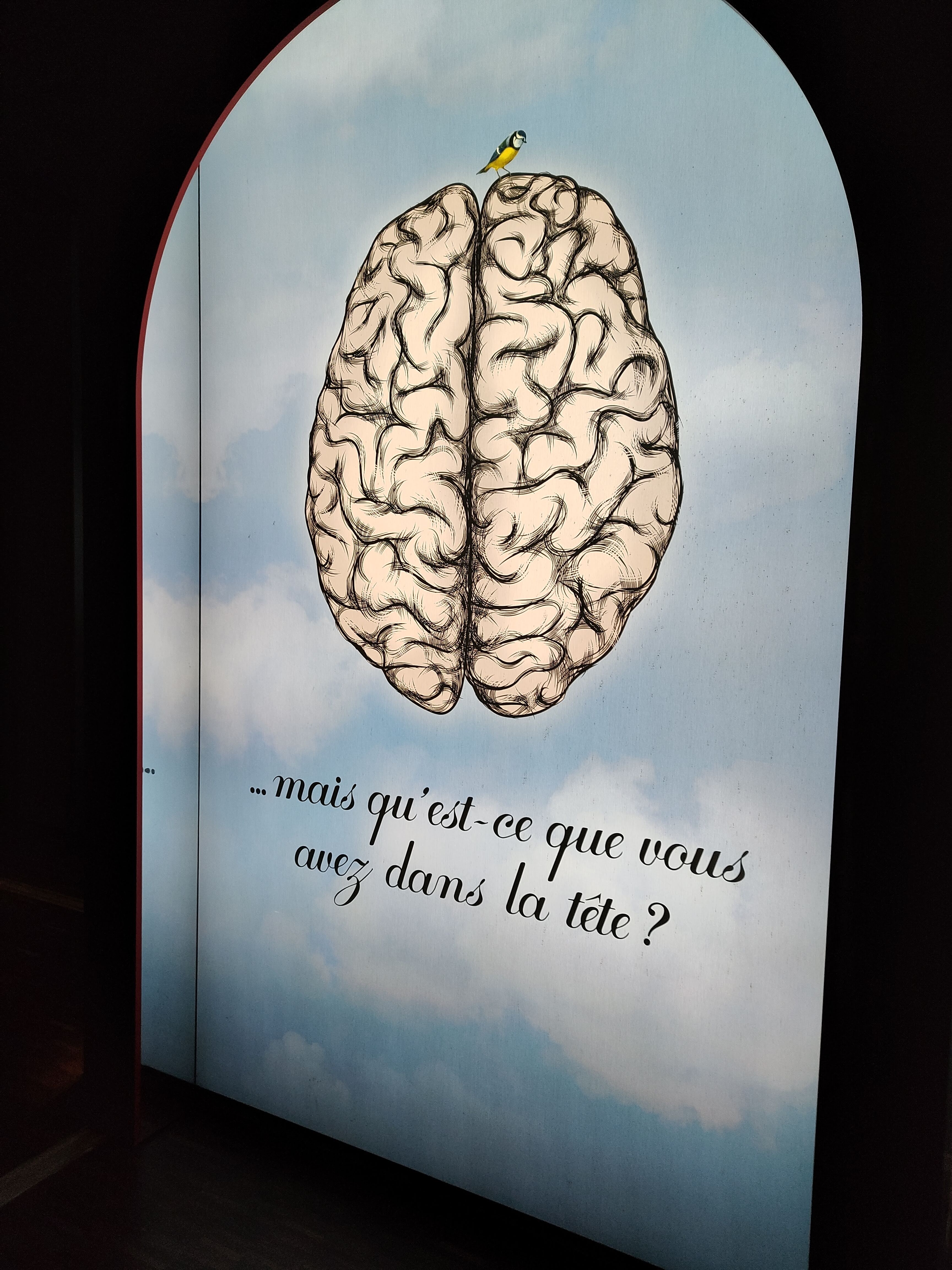 Photo n° 8 de l'avis de amor.i fait le 09/04/2023 à 19:57