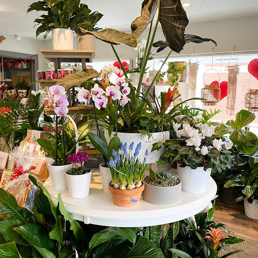 Florist «Crescent Floral & Gifts», reviews and photos, 2140 Wealthy St SE, Grand Rapids, MI 49506, USA