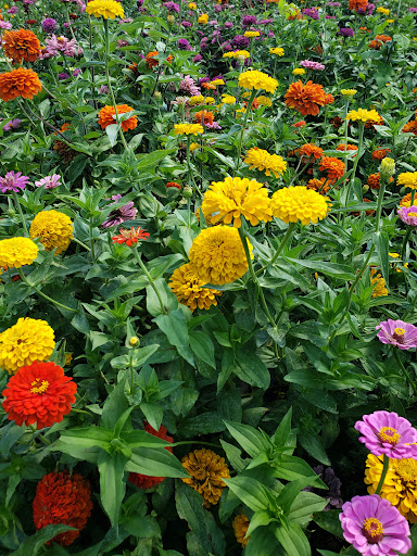 Farm «Jaemor Farms», reviews and photos, 5340 Cornelia Hwy, Alto, GA 30510, USA