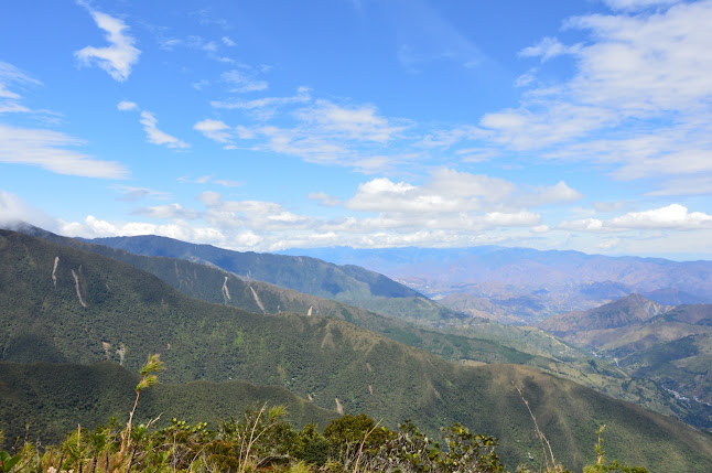 Podocarpus National Park