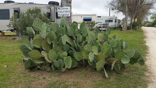 RV Park «Hidden Valley RV Park», reviews and photos, 5706 Coleman Way, Von Ormy, TX 78073, USA
