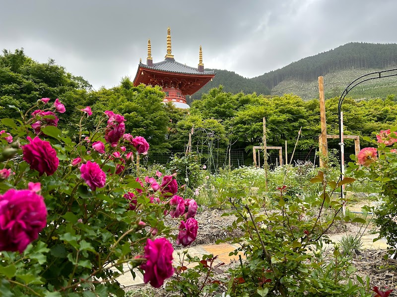 呑山観音寺バラ園 花筵庭