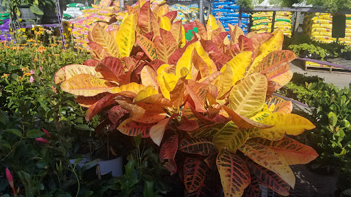 Home Improvement Store «The Home Depot», reviews and photos, 1000 Hanes Mall Blvd, Winston-Salem, NC 27103, USA