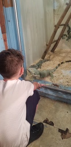 Pet Groomer «Animal Kingdom Grooming», reviews and photos, 339 S Santa Fe Ave, Pueblo, CO 81003, USA