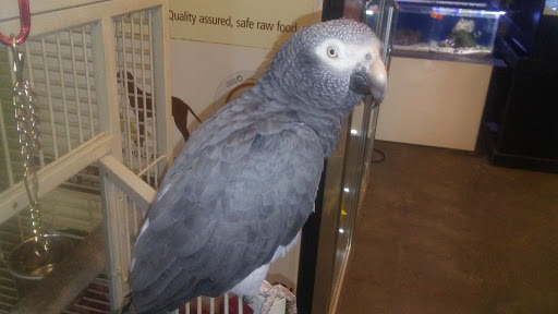 Pet Store «Harrison Pet Center», reviews and photos, 10517 Harrison Ave, Harrison, OH 45030, USA