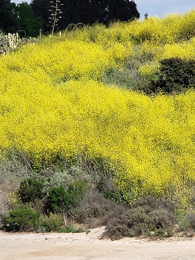 Nature Preserve «Newport Bay Conservancy», reviews and photos, 2301 University Dr, Newport Beach, CA 92660, USA