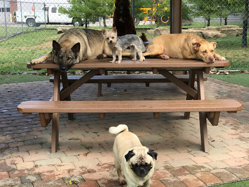 Pet Store «Happy, Clean and Smart», reviews and photos, 5700 W Kilgore Ave, Muncie, IN 47304, USA