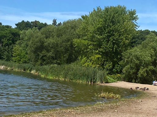 Park «East Medicine Lake Park», reviews and photos, 1740 E Medicine Lake Blvd, Plymouth, MN 55441, USA